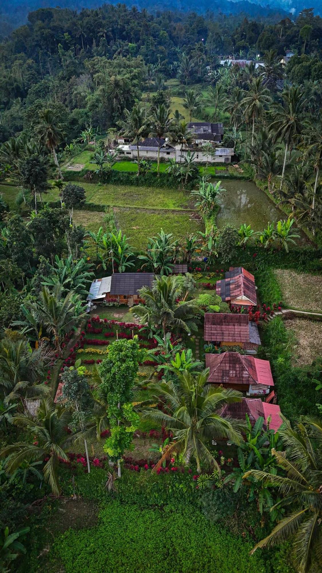 Homestay Wina Wani