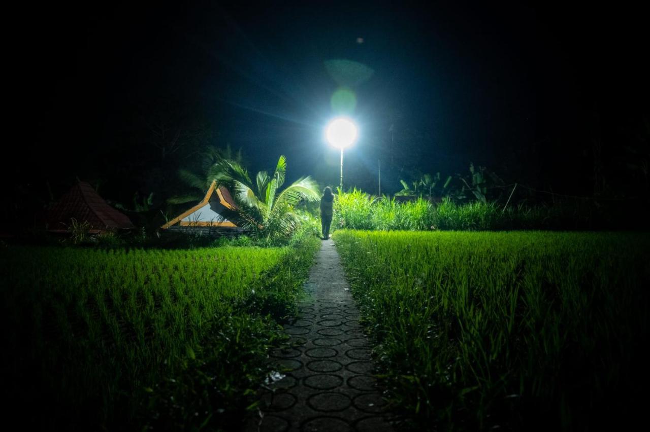 Wina Wani Tetebatu